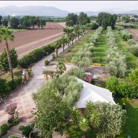 Villa Rosa Lifestyle B&B Sessa Aurunca Eksteriør bilde