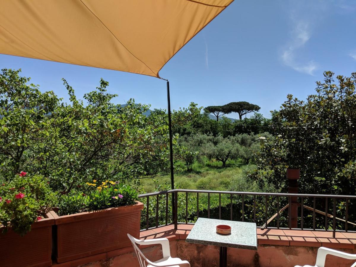 Villa Rosa Lifestyle B&B Sessa Aurunca Eksteriør bilde